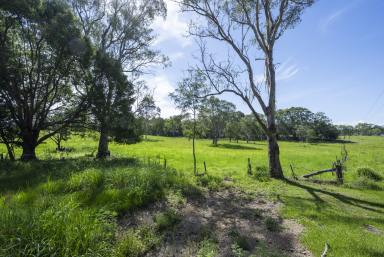 Residential Block For Sale - NSW - Lawrence - 2460 - SUBDIVIDABLE 3.73 HA FARMLET OPPOSITE LAWRENCE SCHOOL  (Image 2)