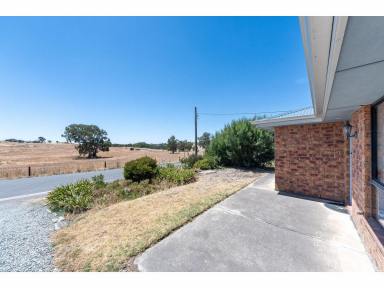 House For Sale - SA - Springton - 5235 - Ready to move straight in!  (Image 2)