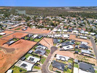 Residential Block For Sale - NSW - Gol Gol - 2738 - Blank canvas awaits you  (Image 2)