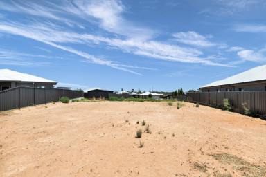 Residential Block For Sale - NSW - Gol Gol - 2738 - Blank canvas awaits you  (Image 2)