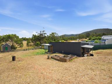 Residential Block For Sale - TAS - Dunalley - 7177 - A Perfect Start  (Image 2)
