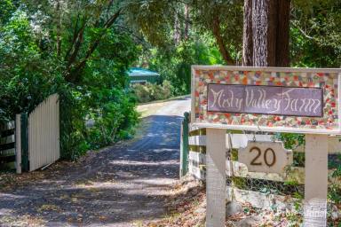 House For Sale - VIC - Hoddles Creek - 3139 - MAGNIFICENT 10-ACRE "MISTY VALLEY FARM"  (Image 2)