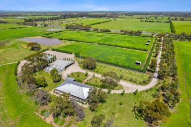Lifestyle For Sale - VIC - Bannockburn - 3331 - Exceptional Rural Living  (Image 2)