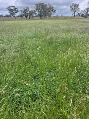 Other (Rural) Auction - VIC - Coojar - 3315 - RARE OPPORTUNITY – SCALE, SECURITY and PRODUCTIVITY  (Image 2)