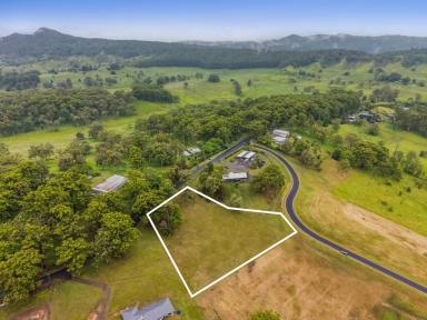 Residential Block For Sale - NSW - Kyogle - 2474 - Where Your Dream Home Becomes Reality!  (Image 2)