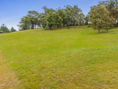 Residential Block For Sale - NSW - Kyogle - 2474 - Where Your Dream Home Becomes Reality! (Image 2)