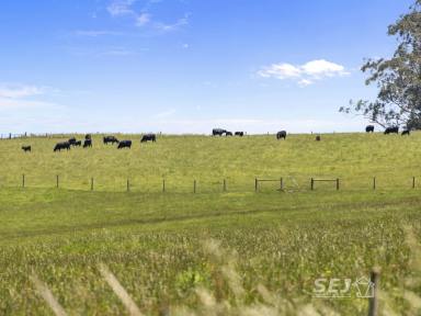 Acreage/Semi-rural For Sale - VIC - Mardan - 3953 - 'A beautiful place to call home'  (Image 2)
