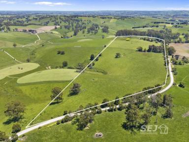 Acreage/Semi-rural For Sale - VIC - Mardan - 3953 - 'A beautiful place to call home'  (Image 2)