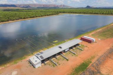 Mixed Farming For Sale - WA - Kununurra - 6743 - KINGSTON REST  (Image 2)