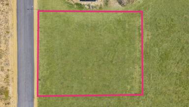 Residential Block For Sale - NSW - Lidsdale - 2790 - Build Your Dream Lifestyle in a Peaceful Country Pocket  (Image 2)
