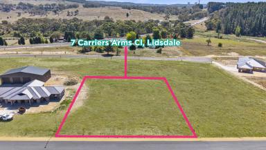 Residential Block For Sale - NSW - Lidsdale - 2790 - Build Your Dream Lifestyle in a Peaceful Country Pocket  (Image 2)