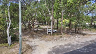 Residential Block For Sale - QLD - Macleay Island - 4184 - Attention Investors - Prime Commercial Land 4,047m2 in The Heart of Macleay Island - Endless Opportunities!  (Image 2)