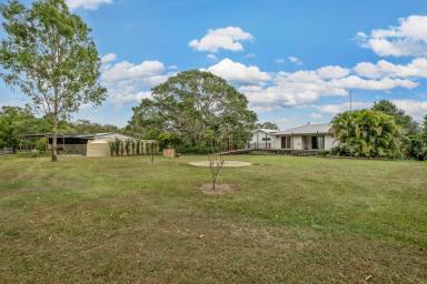 House For Lease - QLD - Carters Ridge - 4563 - Private Noosa Hinterland Retreat with Power Included  (Image 2)