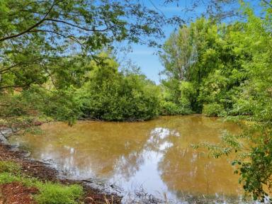 Other (Rural) For Sale - VIC - Toora North - 3962 - Long river frontage, picturesque productive acreage  (Image 2)