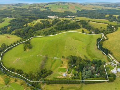 Other (Rural) For Sale - VIC - Toora North - 3962 - Long river frontage, picturesque productive acreage  (Image 2)