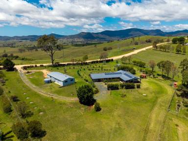 Acreage/Semi-rural For Sale - NSW - Candelo - 2550 - COUNTRY LIVING!  (Image 2)
