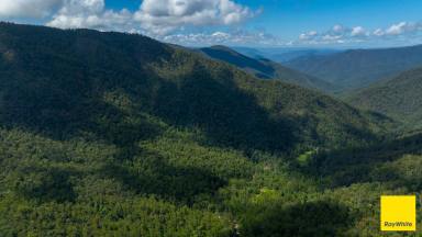 Other (Rural) For Sale - NSW - Lower Creek - 2440 - 'Grays',  Lower Creek  (Image 2)