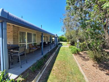 House For Sale - QLD - Crows Nest - 4355 - Colonial-style brick home with a large powered shed.  (Image 2)