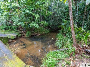 Residential Block For Sale - QLD - Jubilee Heights - 4860 - Private Rainforest Sanctuary – Approx. 1 Acre in Jubilee Heights  (Image 2)