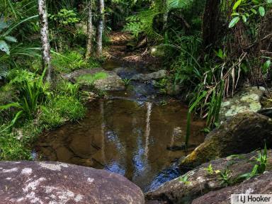 Residential Block For Sale - QLD - Jubilee Heights - 4860 - Private Rainforest Sanctuary – Approx. 1 Acre in Jubilee Heights  (Image 2)