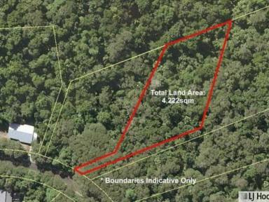 Residential Block For Sale - QLD - Jubilee Heights - 4860 - Private Rainforest Sanctuary – Approx. 1 Acre in Jubilee Heights  (Image 2)