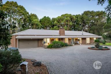 Acreage/Semi-rural For Sale - VIC - Somerville - 3912 - Quiet Family Luxury with Room to Roam  (Image 2)