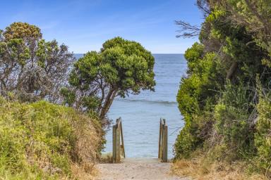 Residential Block For Sale - VIC - Peterborough - 3270 - FRONT ROW OCEAN VIEWS ON THE ICONIC GREAT OCEAN ROAD!  (Image 2)