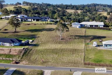 Residential Block For Sale - QLD - Chatsworth - 4570 - Elevated One Acre Property with Sweeping Chatsworth Views!  (Image 2)