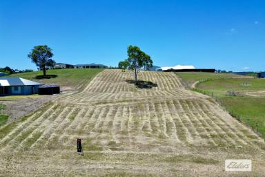 Residential Block For Sale - QLD - Chatsworth - 4570 - Elevated One Acre Property with Sweeping Chatsworth Views!  (Image 2)