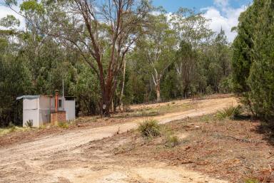 Lifestyle Auction - NSW - Tarago - 2580 - Adventure-Packed Playground with Building Entitlements  (Image 2)