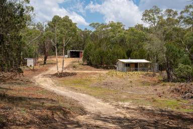 Lifestyle Auction - NSW - Tarago - 2580 - Adventure-Packed Playground with Building Entitlements  (Image 2)