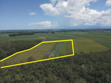 Cropping For Sale - QLD - Gairloch - 4850 - OPPORTUNITY AWAITS ON COVELLS ROAD!  (Image 2)
