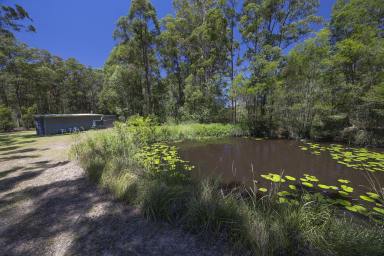 Lifestyle For Sale - NSW - Coolongolook - 2423 - Affordable Rural Lifestyle Opportunity  (Image 2)