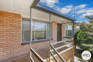 House For Lease - NSW - East Albury - 2640 - CONVENTIENTLY LOCATED!  (Image 2)