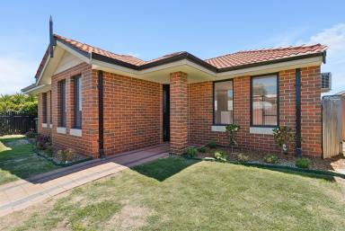 House For Sale - WA - Nollamara - 6061 - In a Word: Refreshed  (Image 2)