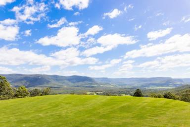 Business For Sale - NSW - Kangaroo Valley - 2577 - 72 ACRES KANGAROO VALLEY APPROVED TO BUILD 26 MORE HOUSES  (Image 2)