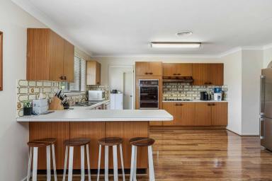 House For Lease - NSW - Marrangaroo - 2790 - Country lifestyle property.  (Image 2)