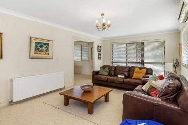 House For Lease - NSW - Marrangaroo - 2790 - Country lifestyle property.  (Image 2)