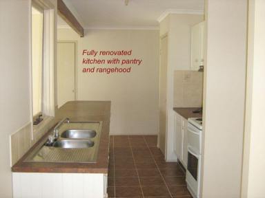 Acreage/Semi-rural For Lease - QLD - Kingaroy - 4610 - Lovely Family Home on 10 Acres  (Image 2)