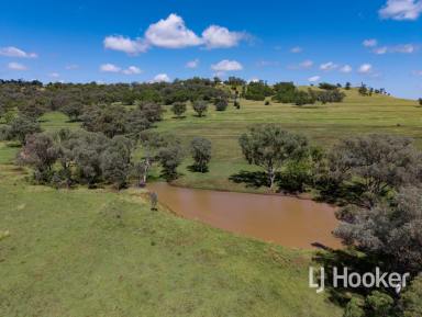 Other (Rural) For Sale - NSW - Inverell - 2360 - "Part Bundanoon" – A Premier Building & Lifestyle Opportunity  (Image 2)
