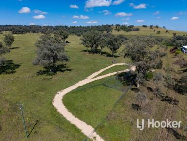 Other (Rural) For Sale - NSW - Inverell - 2360 - "Part Bundanoon" – A Premier Building & Lifestyle Opportunity  (Image 2)
