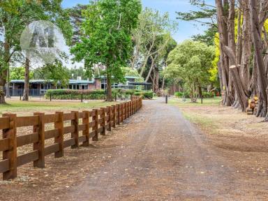 House For Sale - VIC - Heathmere - 3305 - Light, Space and Timeless Character!  (Image 2)