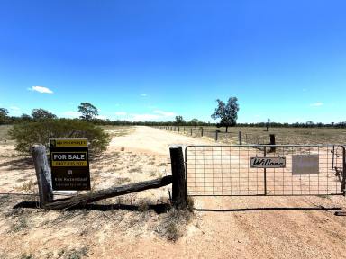 Lifestyle For Sale - NSW - Wee Waa - 2388 - GETAWAY/GRAZING BLOCK ON TWO LOTS (Image 2)