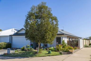 House For Sale - WA - Ellenbrook - 6069 - Walk to the park everyday!  (Image 2)
