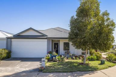House For Sale - WA - Ellenbrook - 6069 - Opposite park!!  (Image 2)
