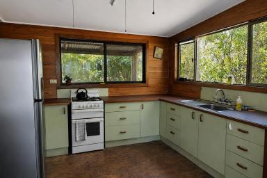 Cropping For Sale - NSW - Bulldog - 2469 - LIFESTYLE OPPORTUNITY WITH AN INCOME !  (Image 2)