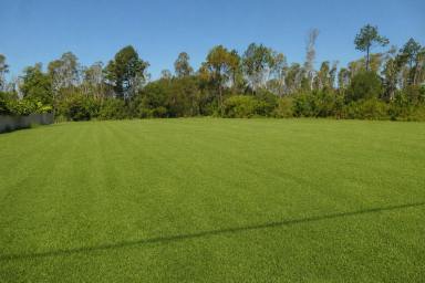 Residential Block For Sale - NSW - Rappville - 2469 - LIVE THE QUIET LIFE  (Image 2)