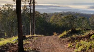 Lifestyle For Sale - NSW - Drake - 2469 - BE CREATIVE ! (Image 2)