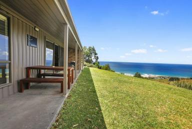 Unit For Sale - VIC - Skenes Creek - 3233 - A Inexpensive Alternative  (Image 2)