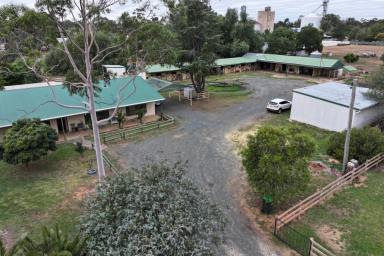 House For Sale - VIC - Elmore - 3558 - EXCEPTIONAL EQUINE PROPERTY ON THE EDGE OF ELMORE  (Image 2)